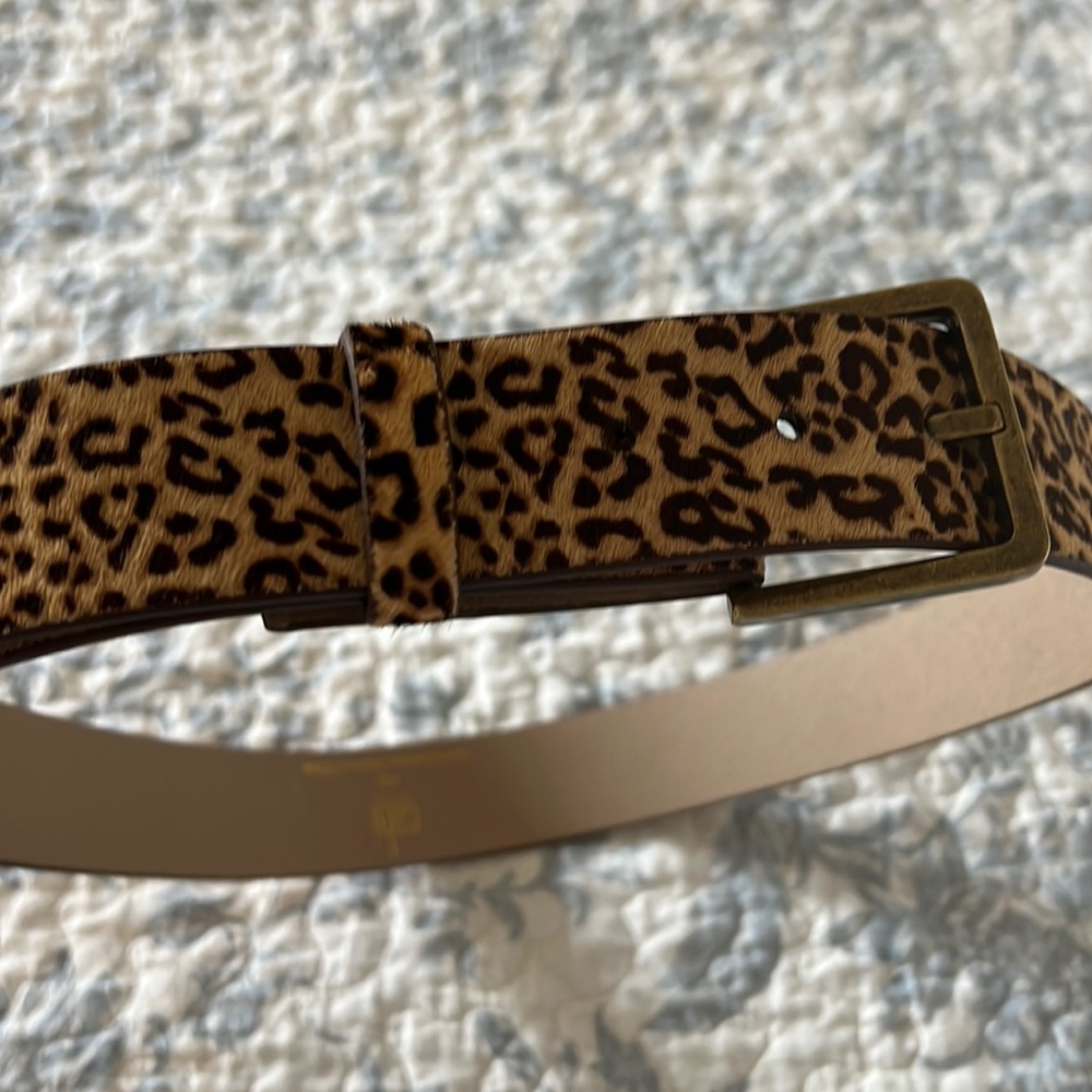 CAbi belt